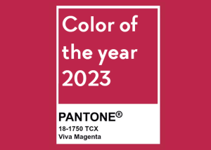 Lee más sobre el artículo Viva Magenta, el color del año