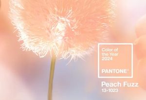 Lee más sobre el artículo Peach Fuzz, color del año