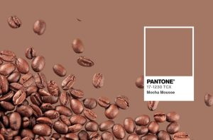 Lee más sobre el artículo Mocha Mousse, color Pantone de 2025: Un abrazo cálido para tu espacio exterior